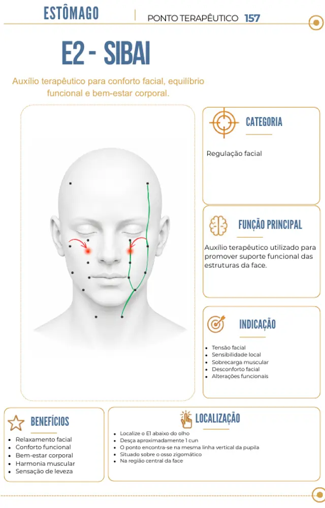 Crânio e Face